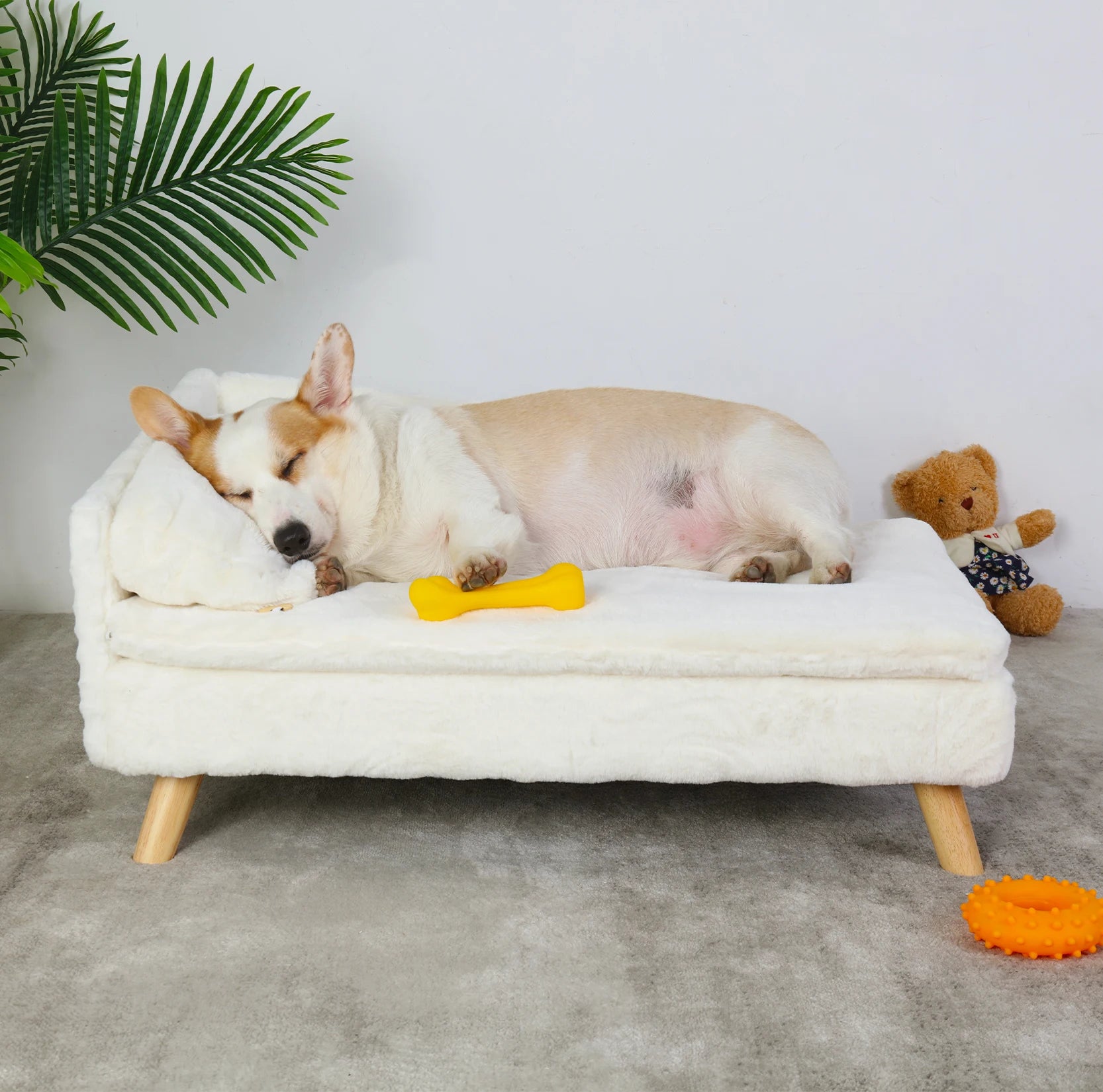 Elevated Pet Bed Solid Wood Leg - Boundless Selections