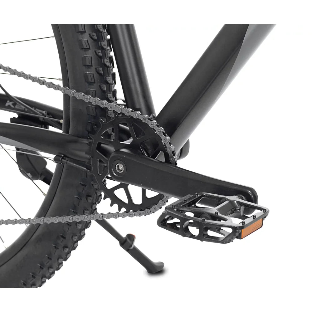 29" Mountain Bike - Boundless Selections