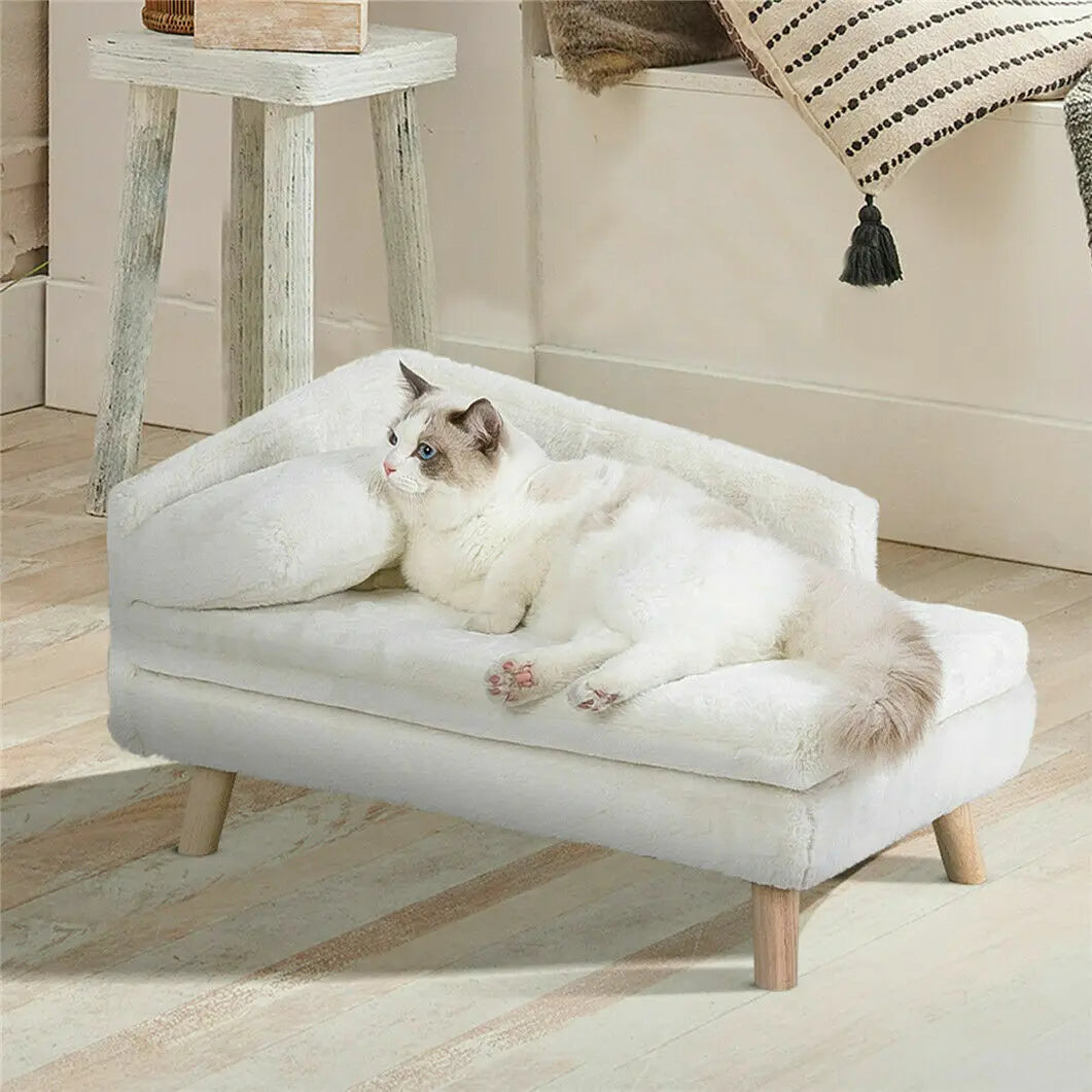 Elevated Pet Bed Solid Wood Leg - Boundless Selections