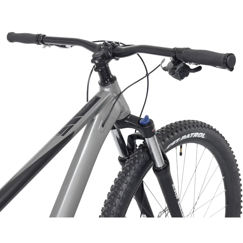 29" Mountain Bike - Boundless Selections